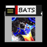 Bats